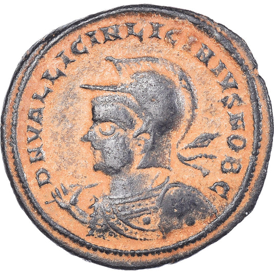 Coniare, 
  
  Licinio II, 
  
  Follis