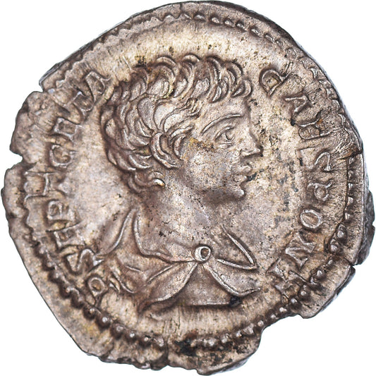 Coniare, 
  
  Geta, 
  
  Denario