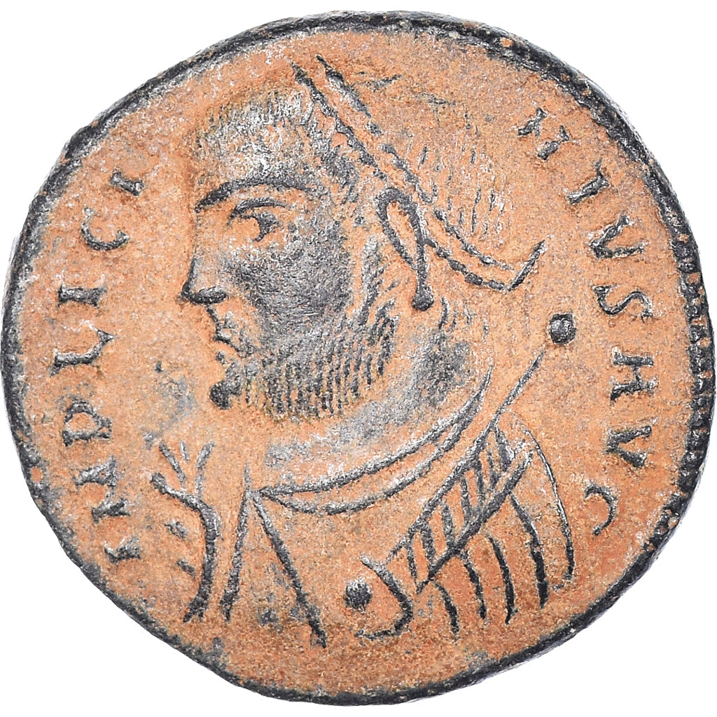 Coniare, 
  
  Licinio I, 
  
  Follis