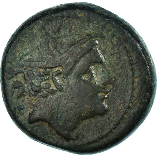 Coniare, 
  
  Anonimo, 
  
  Semuncia