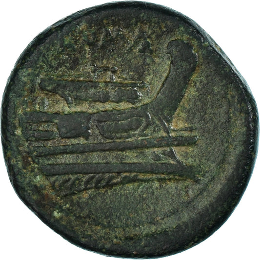 Coniare, 
  
  Anonimo, 
  
  Semuncia