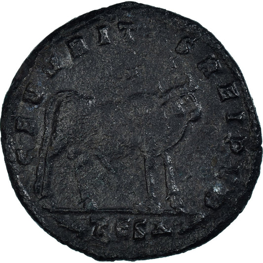 Moneta,

Giuliano II,

Maiorina