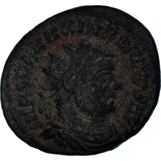 Coniare, 
  
  Massimiano, 
  
  Follis